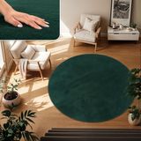 TT Home Vloerkleed Woonkamer Groen 120 cm Vierkant Wasbaar & Hoogpolig | Modern & Zacht Vloerkleed, Onderhoudsvriendelijk & Antislip, Ideaal Voor Woonkamer, Slaapkamer, Kinderkamer & Tuin