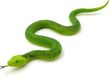 oCreon Elastische slang van zacht rubber - Realistische slang - Spel voor Tricky Aprilfish Halloween speelgoed