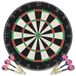 VidaXL Dartbord professioneel met 6 darts sisal
