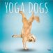 Browntrout Yoga Dogs Kalender 2026