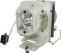 TEKLAMPS Acer Lamp for ACER H6517BD