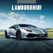 Red Robin Calendrier Lamborghini 2027