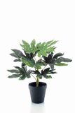 Emerald Kunstplant in pot Fatsia 30cm