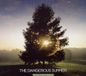 Suburban Dangerous Summer Reach for the Sun