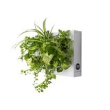 Verticale Ortisgreen Verticale Tuin - Wit Verticale Wand Planter voor 6 planten met Sphagnum Mos