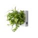 Verticale Ortisgreen Verticale Tuin - Wit Verticale Wand Planter voor 6 planten met Sphagnum Mos