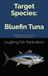 Target Bluefin Tuna: Mastering the Chase for the Ocean’s Crown Jewel