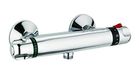 DP Grifería Caceres Thermostatische Douchekop Zilverkleurig