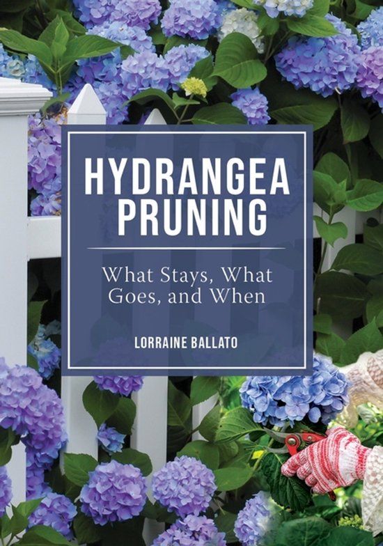 HYDRANGEA Bol Hydrangea Pruning Paperback