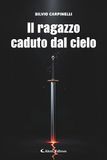 Il ragazzo caduto dal cielo