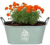 Sunnydays Plantenpot - Zink - Jadegroen - L39 x B16 x H21 cm