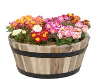 Mega Collections Plantenbak/bloempot Barrel - acacia hout - bruin - D46 x H28 cm