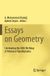 Essays Springer Nature Essays on Geometry Paperback