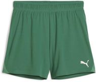 Puma Teamgoal Handball Shorts W Dames Short M Katoen Sport Green-Puma White
