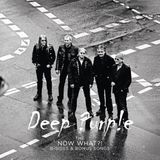 Bertus Distributie Deep Purple The Now What?! LP Paars
