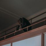 Konkurrent Logan Farmer A Mold For The Bell (LP)