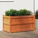 Maison Exclusive - Jardinière, brun chaud, 90x50x50 cm, bois massif, pin