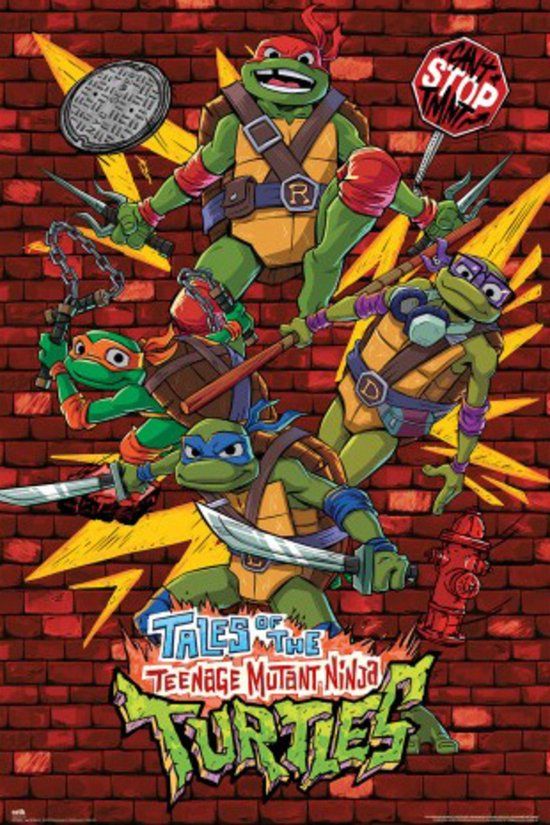 Grupo Your Decoration B.V. Poster Ninja Turtles - 61x91,5cm