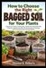 How Independently Published How to Choose the Right Bagged Soil for Your Plants