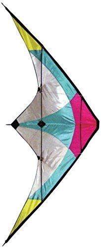 International Buying Services Stuntkite Dual Line Kite, 120 x 60 cm, high flying kite met kleurrijk paneeldesign, stuntkits voor outdoor-fun