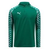 PUMA teamLIGA26 Training 1/4 Zip Top