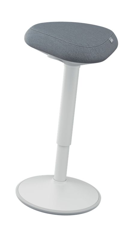 Leitz Ergo Active Zit Sta Kruk - Grijs - Ergonomisch - Verstelbaar