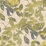 Herbarium Vliesbehang Bladeren Natuur Groen 10,05 x 0,53 M.