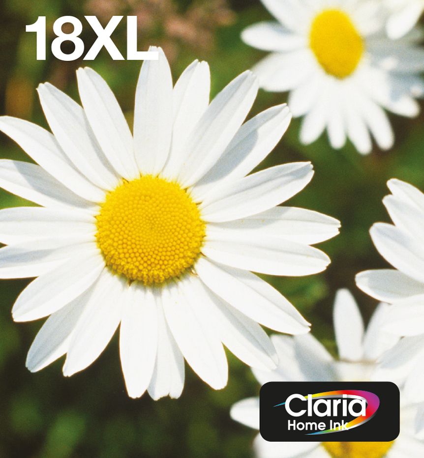 Epson 18XL Daisy Multipack Zwart, Cyaan, Magenta, Geel Origineel Hoge Capaciteit Inkjet Cartridge