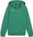 PUMA kinderteamGOAL Casuals jack met capuchon Jr jack met capuchon 658596 05 vert