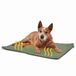 PiuPet Couverture chauffante pour chien verte L