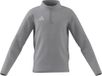 adidas uniseks-kind Entrada26 Training Top Kids Sweatshirt, team light grey/white, 13-14 Years