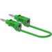 Electro PJP 2111-CD1-25V Câble de raccordement 25 cm Vert 1 pièce(s)
