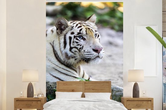 Nr1Wallpaper Behang - Fotobehang Tijger - Wit - Zand - Breedte 195 cm x hoogte 300 cm