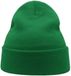 Atlantis Headwear Wind Beanie Recycled Green One Size