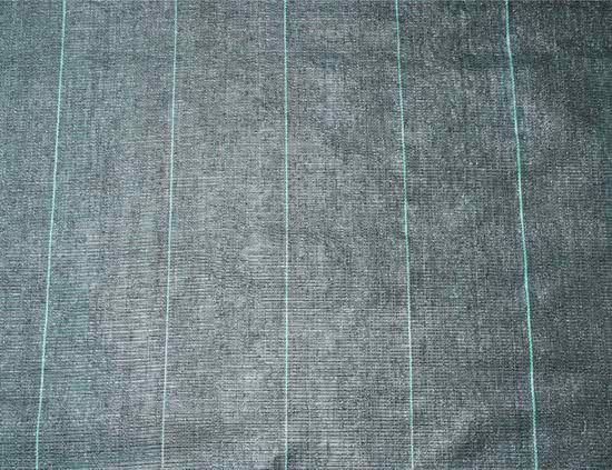 Nature grondzeil 3 x 5 m zwart 6030302
