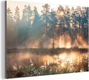 Merkloos / Sans marque CanvasCompany.nl Aluminium schilderij 90x60 cm - Wanddecoratie metaal - Meer - Zon - Boom