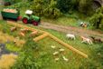Faller Dierenset Koeien, Paarden, Schapen - Schaal N
