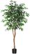 Unyqoos® Plante décorative Ficus Benjamina de 150 cm pour intérieur et bureau