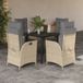 Prolenta Maison Exclusive - 5-delige tuinsets met kussens, beige, van polyrotan