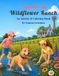 Summer Wildflower Ranch Summer at Wildflower Ranch: Coloring & Activity Book