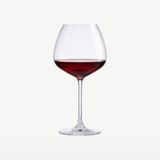 Royal Leerdam Experts Collection Wijnglazen 55 cl / 550 ml | Set van 6 Stuks | Geschikt voor Rode Wijn | Glas | Vaatwasserbestendig