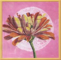 DMC borduurpakket XC1302 grote zinnia - katoen - 0077540011834