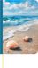 Lady Journal Beach 2027