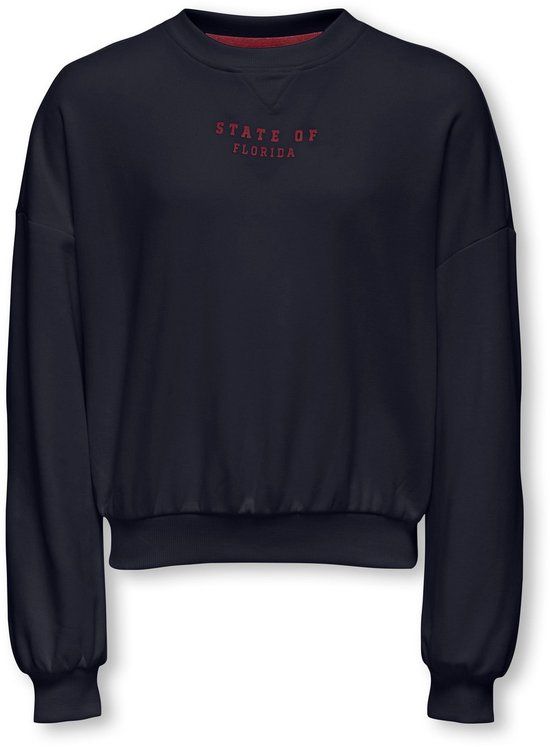 Only Kids ONLY - KOGSALLY trui Blauw - Maat 134-140