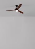 CREATE Plafondventilator 40W silent Ø132 cm 100% hout - M - Met licht - Afstandsbediening - WIND CUP