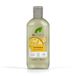 DR ORGANIC Vitamine E-shampoo, hydraterend, droog en fijn haar, natuurlijk, veganistisch, dierproefvrij, vrij van parabenen en SLS, recyclebaar en gerecycled plastic uit de oceaan, gecertificeerd biologisch, 265 ml
