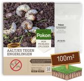 Pokon Aaltjes tegen Engerlingen - 50 miljoen Aaltjes voor 100m² gazon