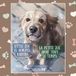 Little Real Life Pets Little Zoe is Always Barking / La petite Zoé aboie tout le temps Paperback