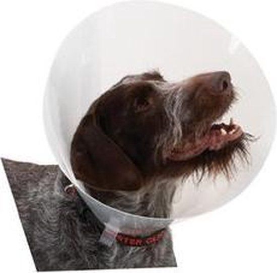 Buster Transparent Classic Collar - Maat 4