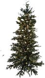 Uniplant Kerstboom incl lichtjes h210cm 500 lamps 2956 tips hinged